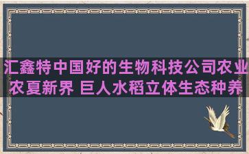 汇鑫特中国好的生物科技公司农业农夏新界 巨人水稻立体生态种养 致富激励性产业